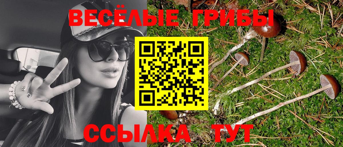 Галлюциногенные грибы Magic Shrooms  Псилоцибиновые грибы прущие грибы  Вход с VPN  что такое наркотик  Барнаул 