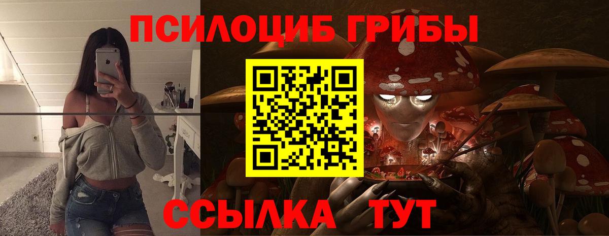 Псилоцибиновые грибы мухоморы Барнаул